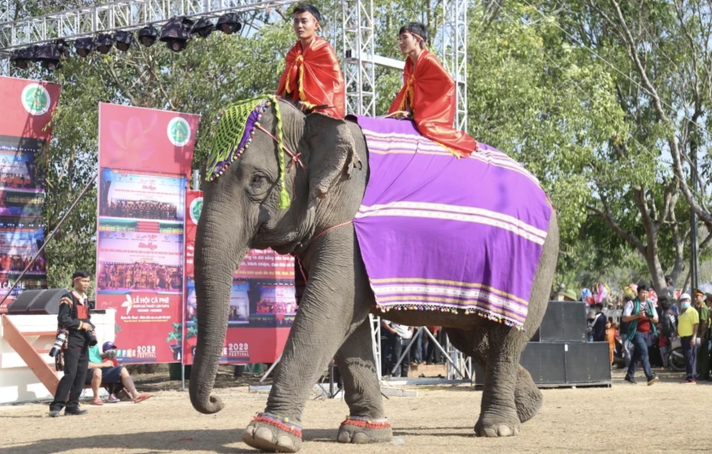 lễ hội cà phê Buôn Ma Thuột.png