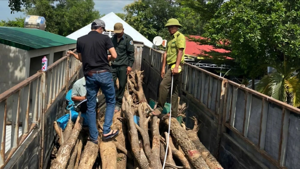 cán bộ kiểm lâm.jpg