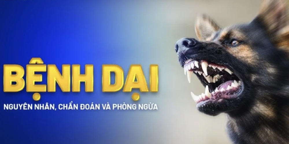 người đàn ông làm nghề buôn bán chó tử vong do bệnh dại