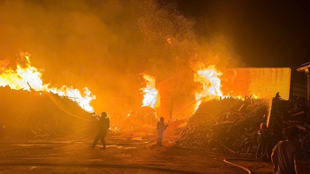 công ty phân bón.jpg