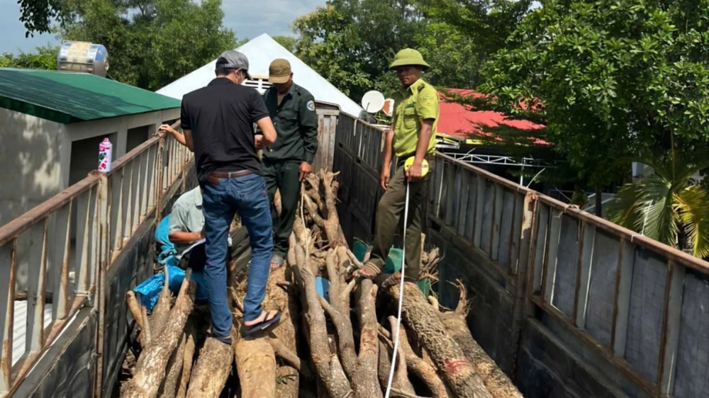 Cán bộ kiểm lâm.jpg