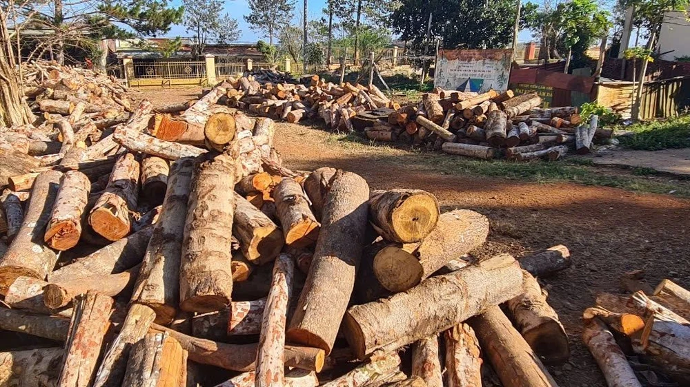 đường tuần tra biên giới.jpg