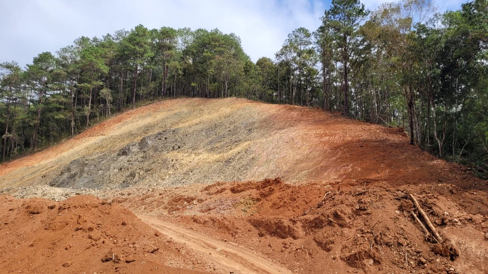 chuyển đổi hơn 155 ha rừng.jpg