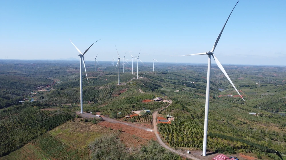 Dự án nhà máy điện gió.JPG