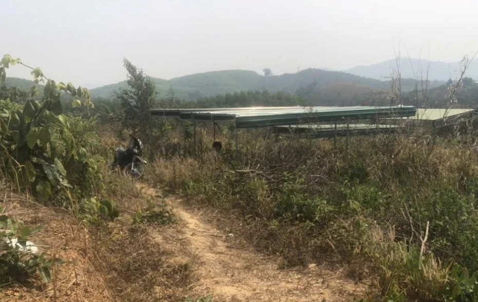 2 đầu gối quỳ.png