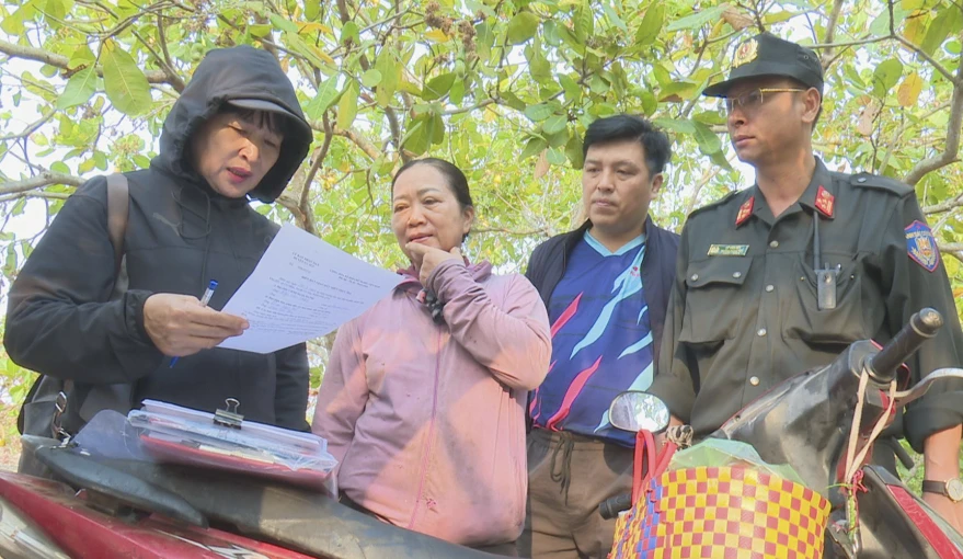 dự án trồng rừng.png