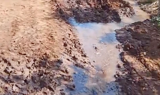 Ảnh chụp Màn hình 2025-04-11 lúc 16.44.04.png