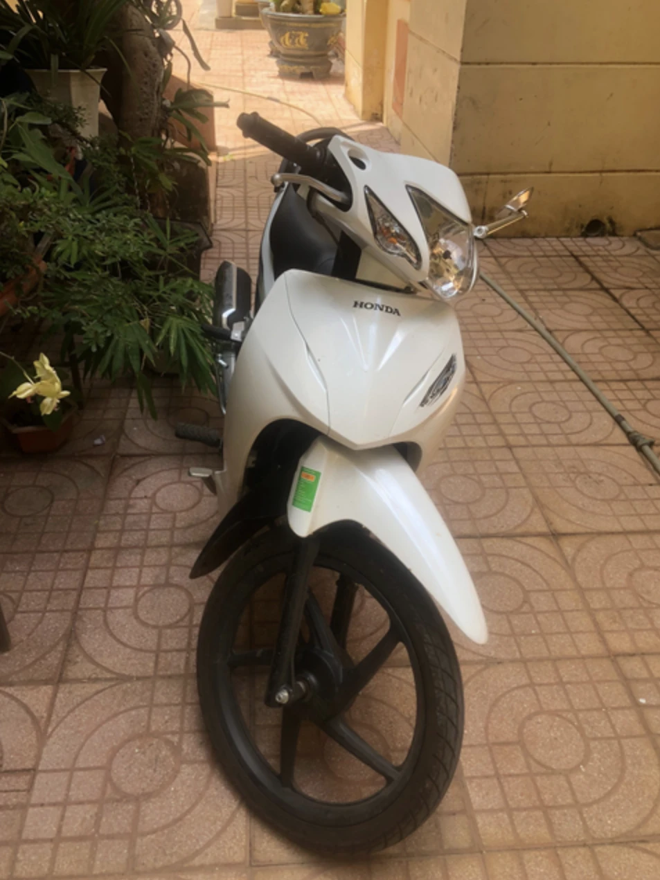 trộm cắp tài sản.png