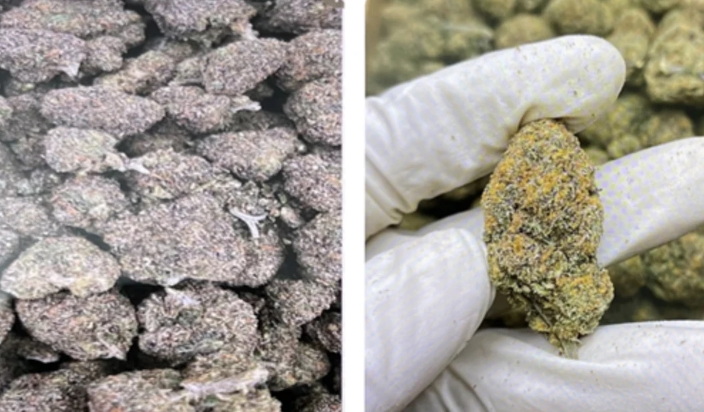 Ảnh chụp Màn hình 2025-06-06 lúc 09.20.09.png