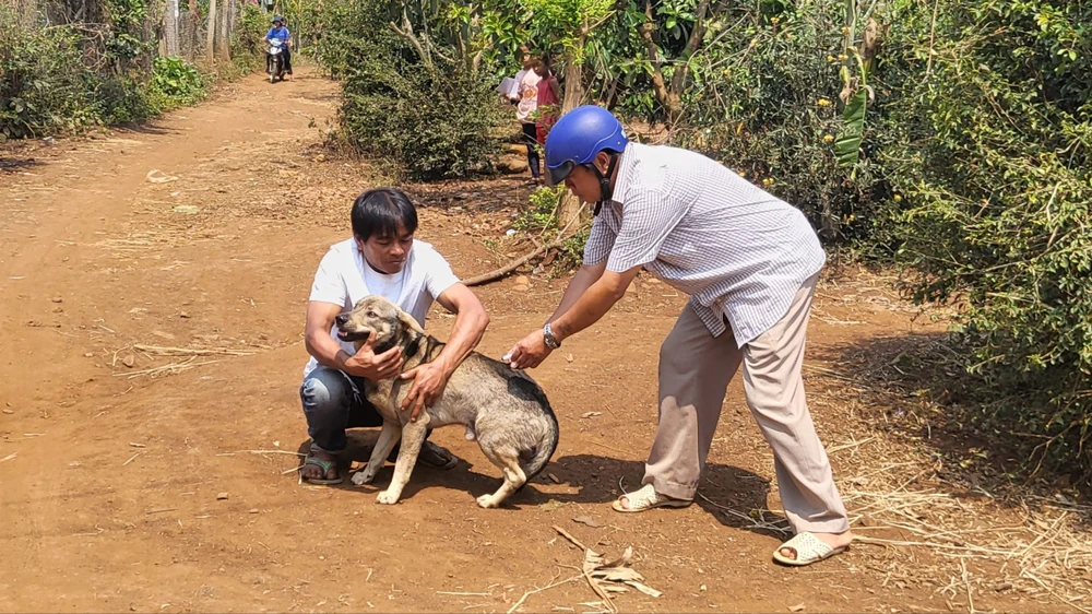 người đàn ông tử vong nghi bệnh dại