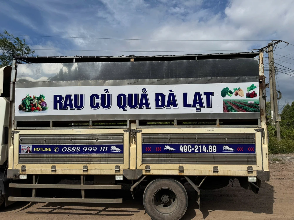 dịch tả lợn châu Phi.jpg