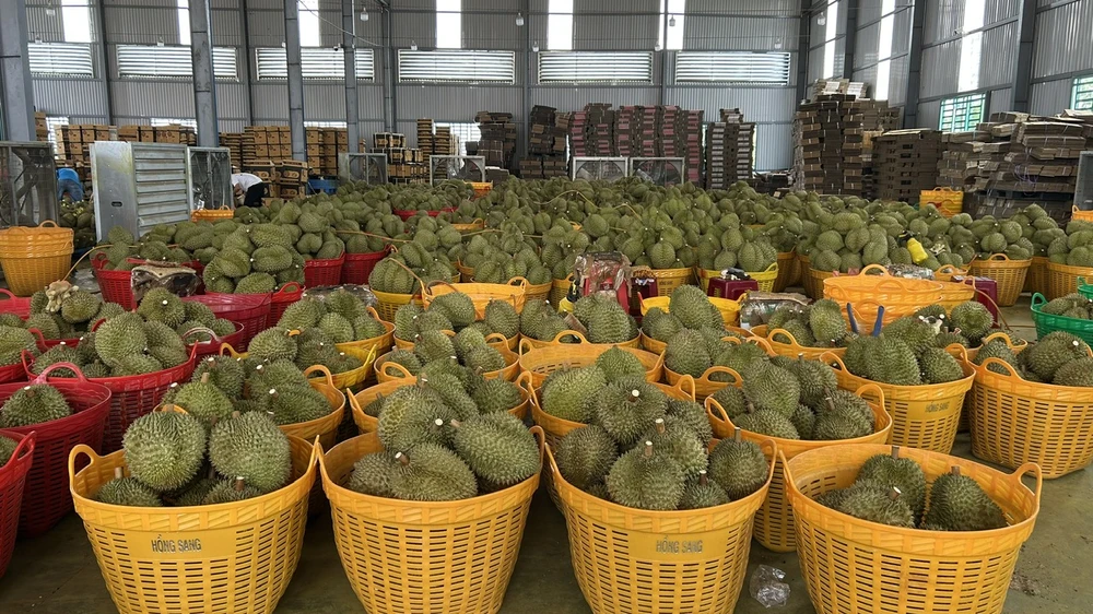 trung tâm giao dịch trái cây.jpg