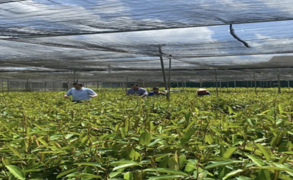 Giống cây trồng.png