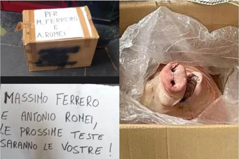 "Món quà khủng" được ai đó gửi đến trụ sở Sampdoria ở Genoa. Ảnh: Twitter.