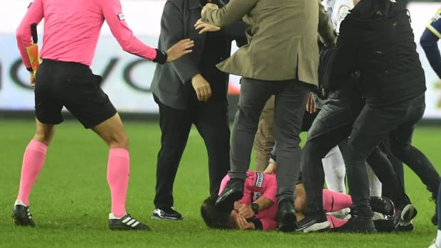 Trọng tài Meler.jpg