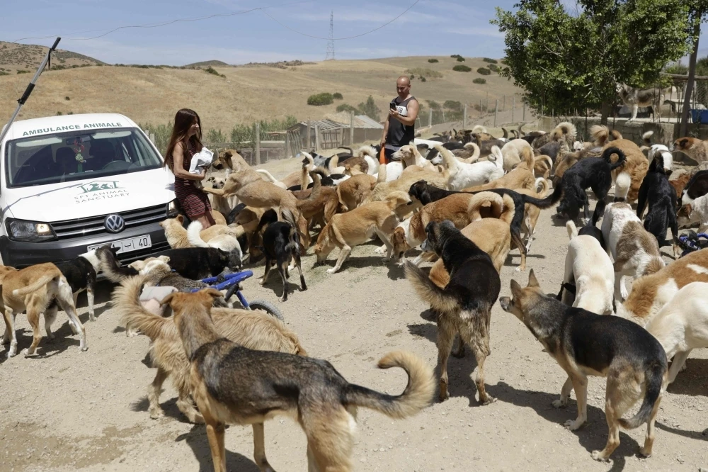 Cho- tha- rong-1.jpg