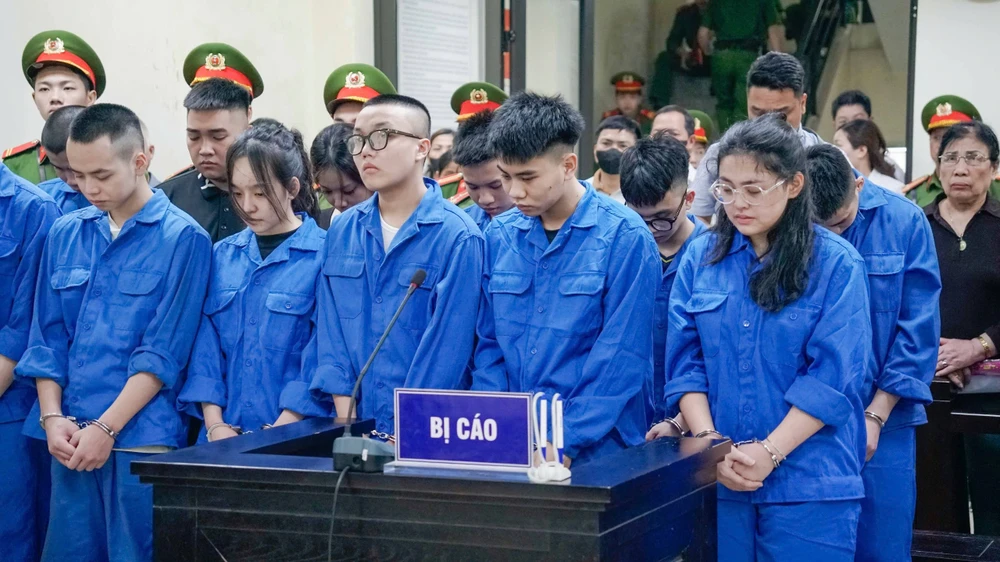 cô gái dừng đèn đỏ các bị cáo tông tử vong.jpg
