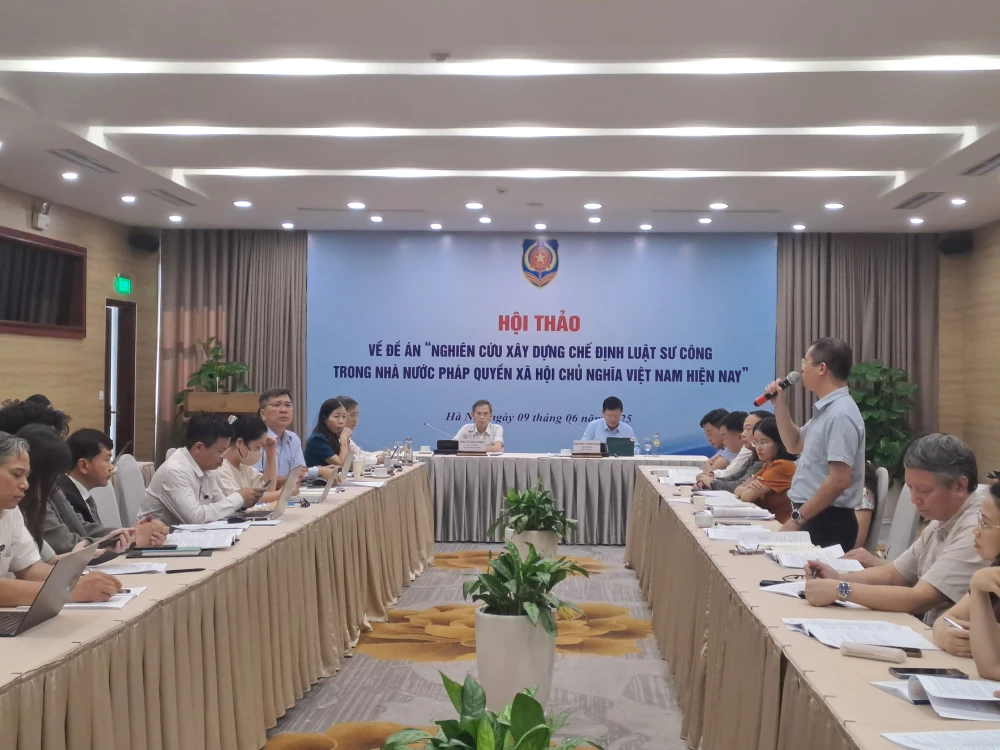 Luật sư công.jpg