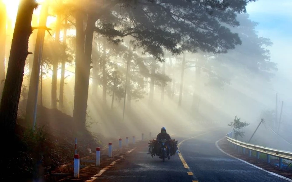 binh-minh-da-lat-dep-nap-long-3