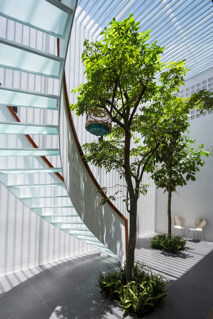 T-houe-huong-tay-mat-me-10