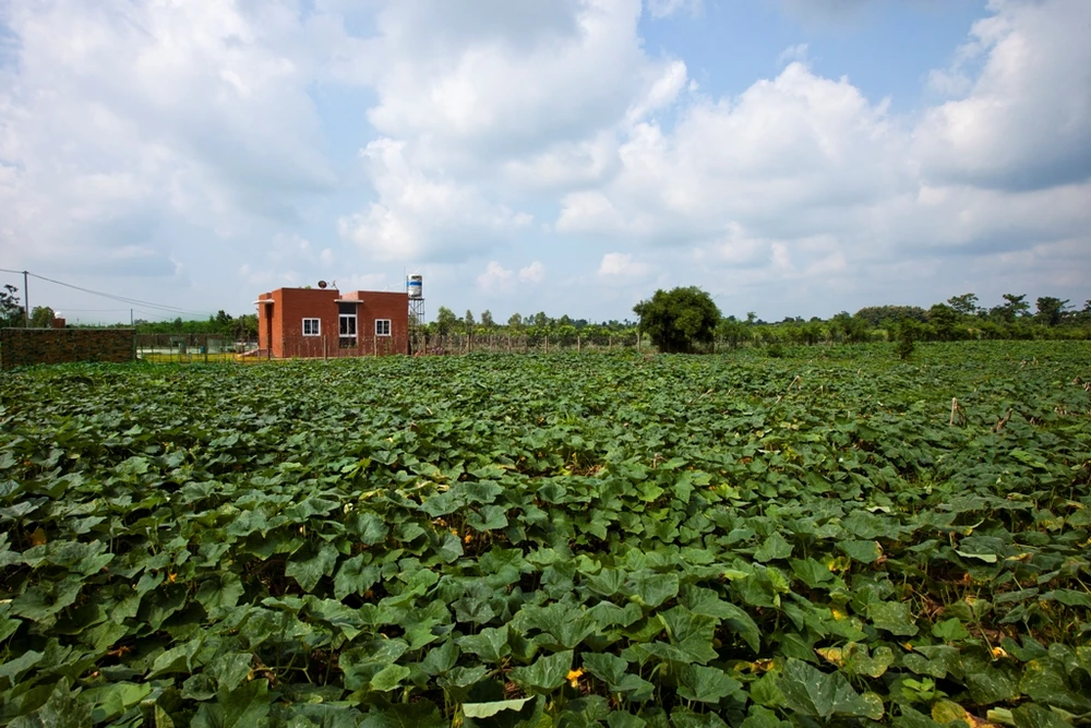 ngan-nong-nha-gach-nung-2