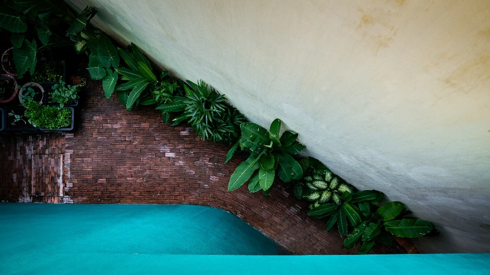 ngoi-nha-go-vap-hoa-giai-khu-dat-tam-giac-2