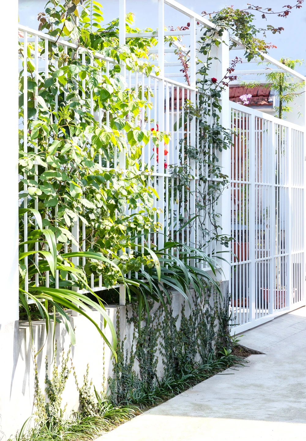 nha-ba-gian-duong-dai-14