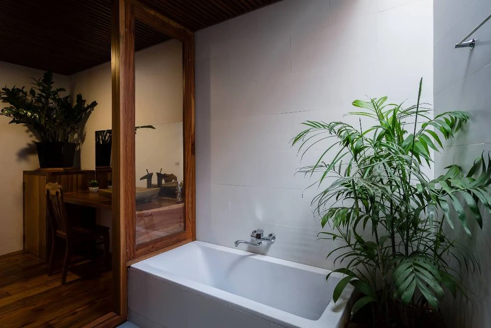 thiet-ke-vuon-trong-nha-doc-dao-8