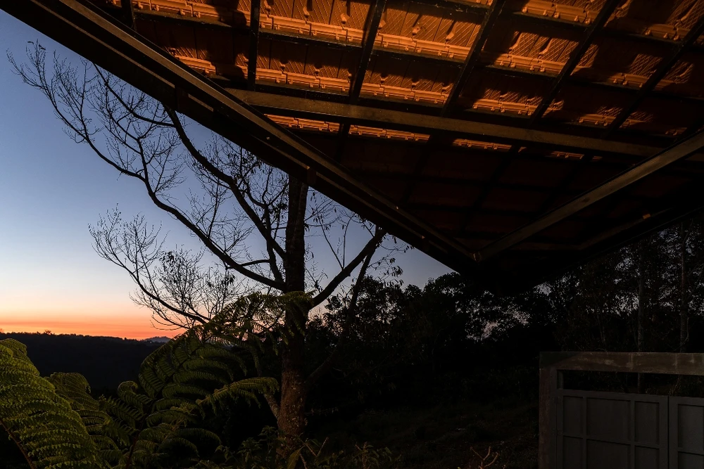 ngoi-nha-hinh-la-sau-rieng-7