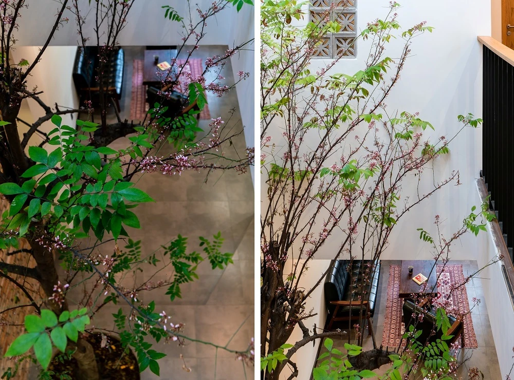 ngoi-nha-danh-cho-con-gai-ruou-16