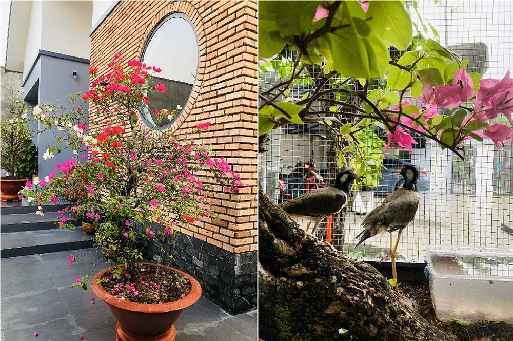 ngoi-nha-mai-lech-14