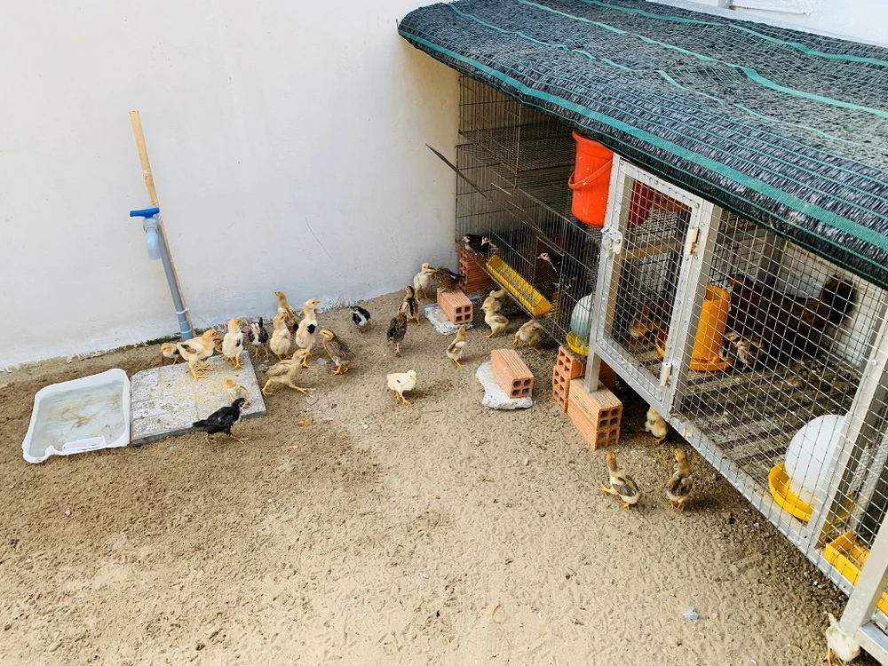 ngoi-nha-mai-lech-15