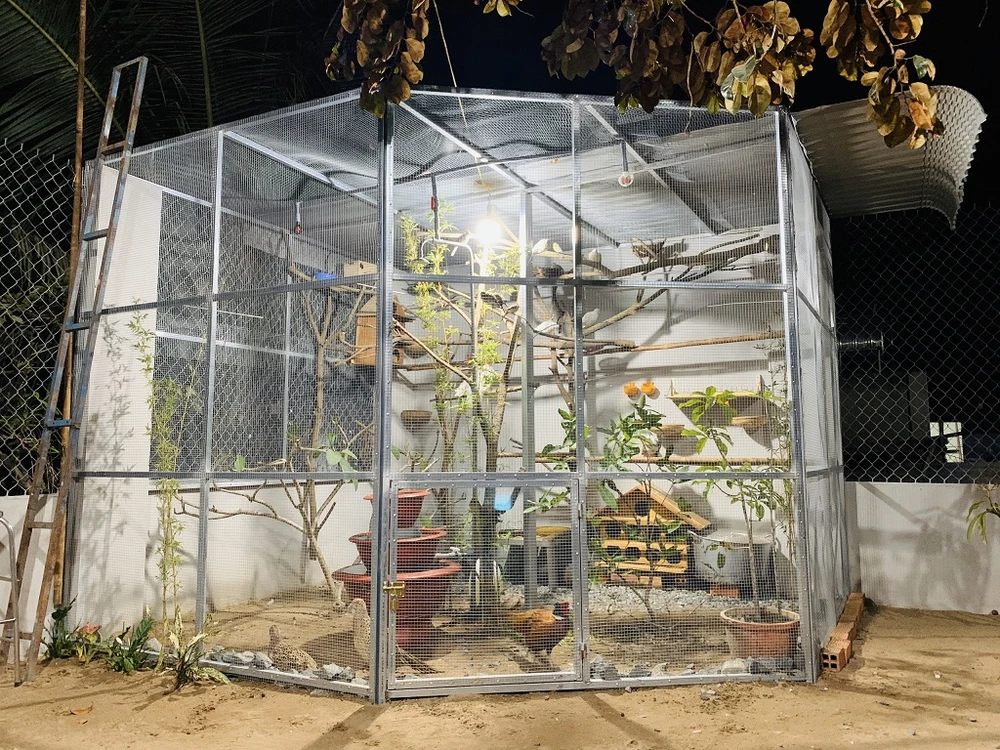 ngoi-nha-mai-lech-16