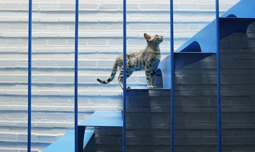 nha-co-mat-tien-gach-nung-14