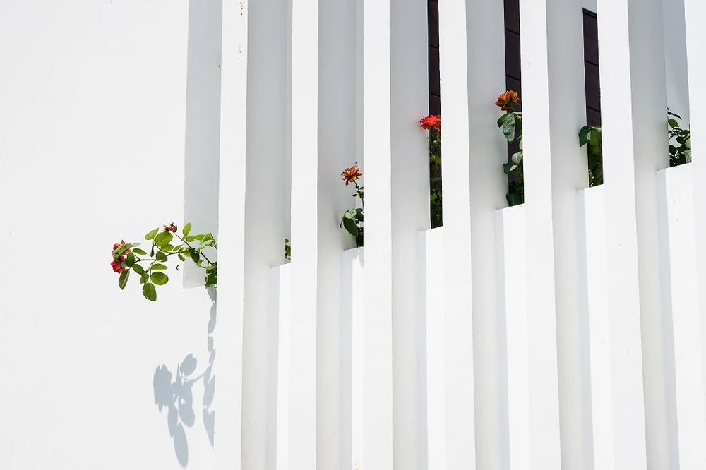 giai-quyet-khu-dat-dai-17