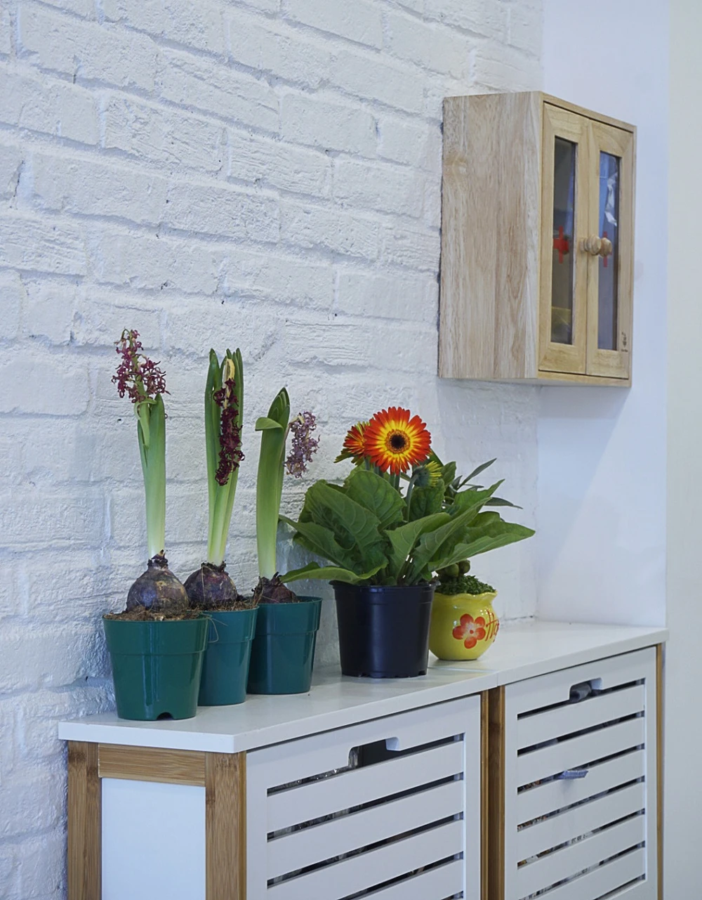 giai-phap-nha-mat-tien-hep-4