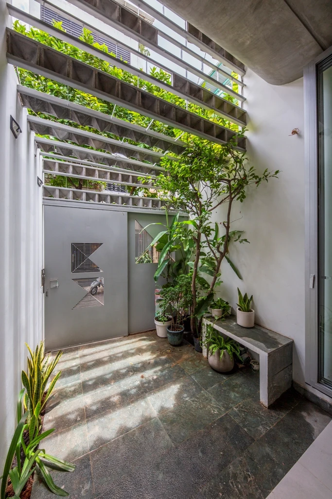 mat-tien-gai-goc-nhu-qua-sau-rieng-7