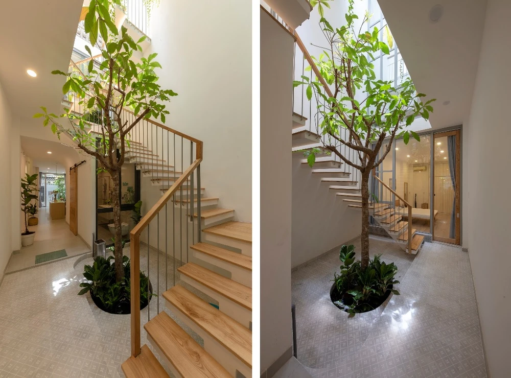 mat-tien-gai-goc-nhu-qua-sau-rieng-9