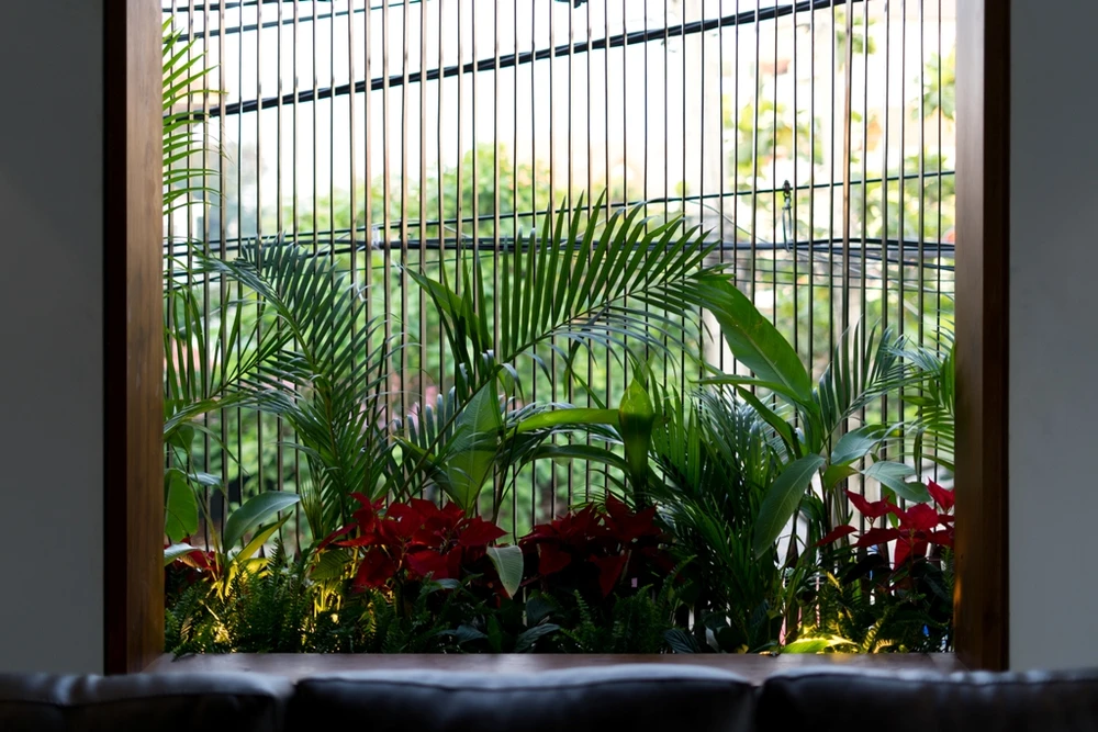 ghep-hai-nha-thanh-mot-8