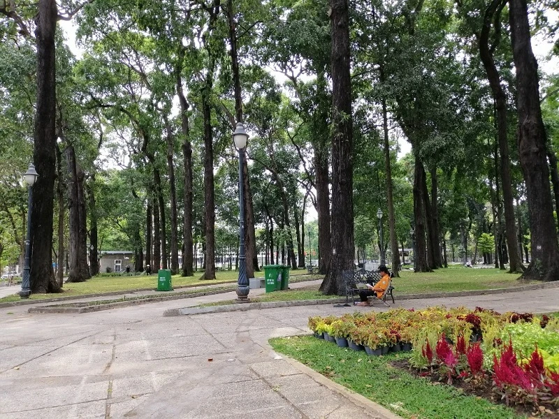 quy-hoach-cay-xanh-trong-cong-vien-1