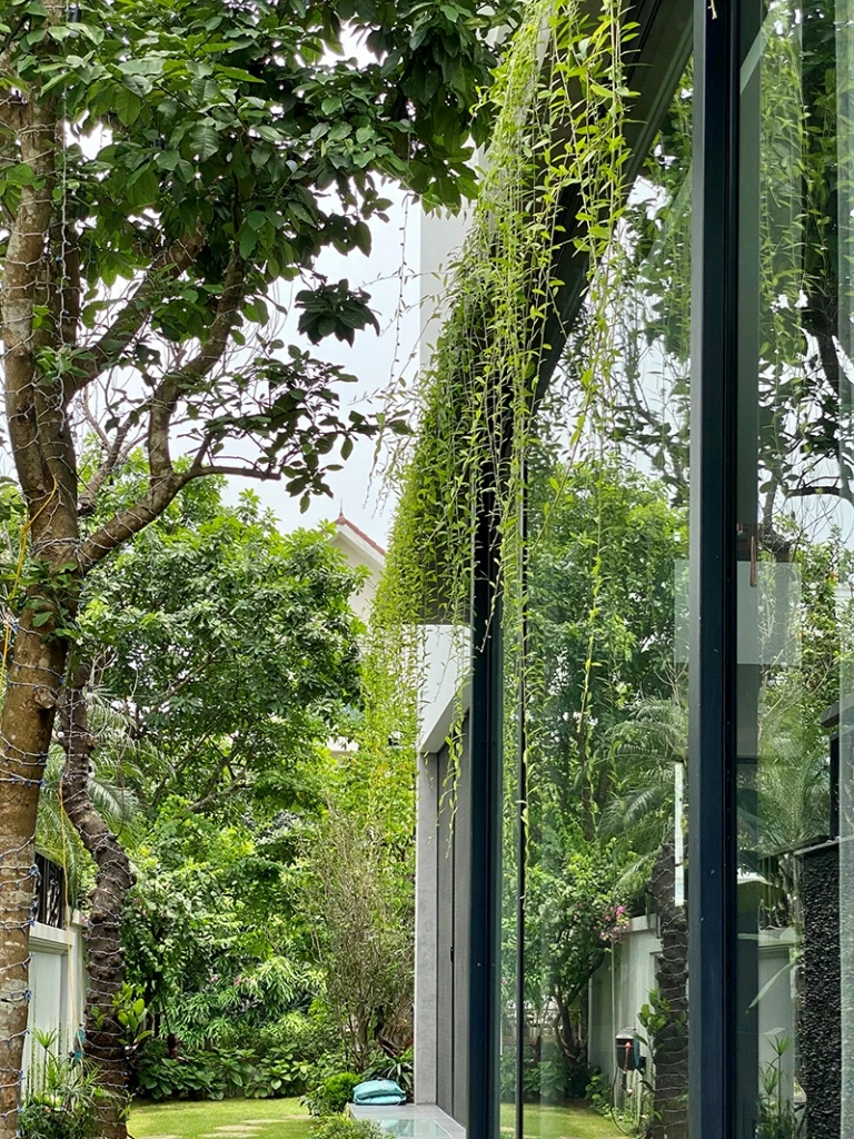 biet-thu-sau-cai-tao-2