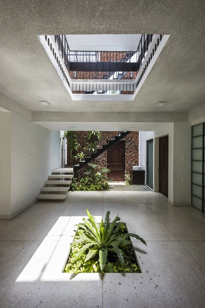 chon-cay-gi-trong-trong-nha-4