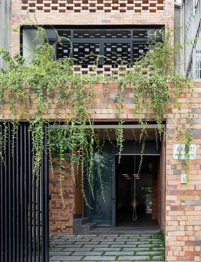 chon-cay-gi-trong-trong-nha-6