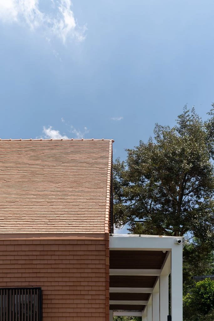 tranh-nang-huong-tay-sau-nha-6