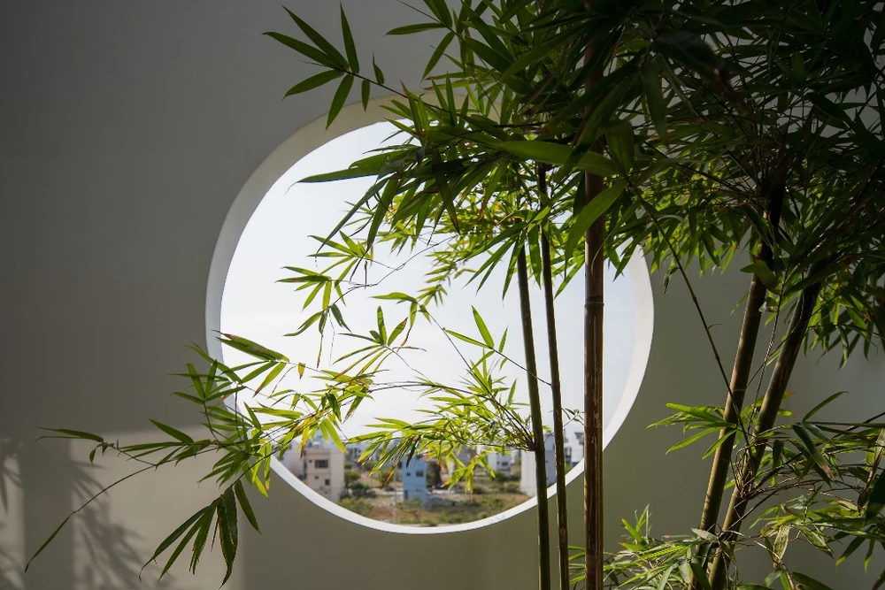 ngoi-nha-nam-giua-hai-dong-song-13