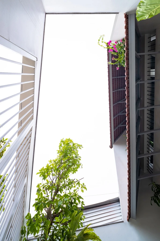 ngoi-nha-ngoi-co-ba-mai-truot-15