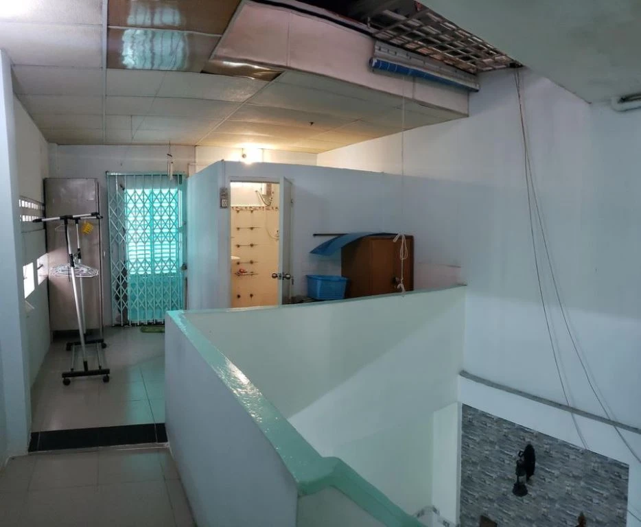 ngoi-nha-nhu-khu-rung-nhiet-doi-3