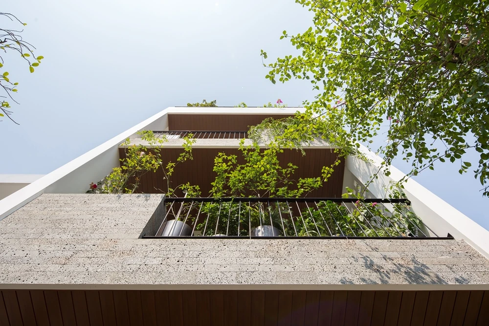 mang-thien-nhien-vao-nha-4