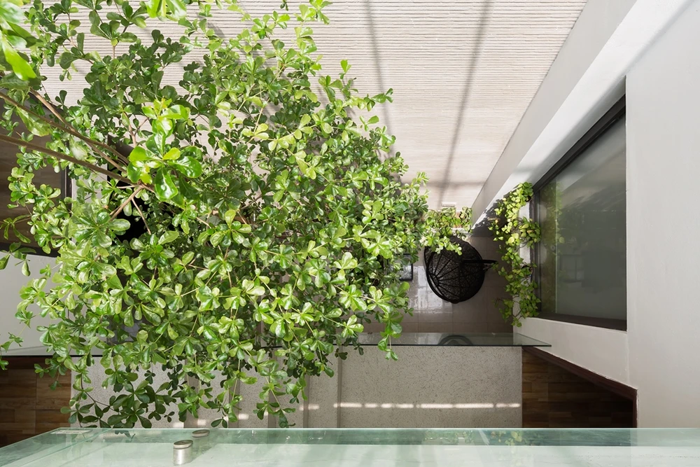 ngoi-nha-xanh-o-Bac-Ninh-21