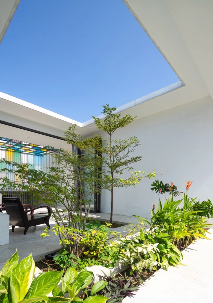 nha-pho-ngap-tran-cay-xanh-17